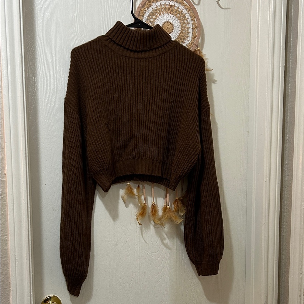 Brown Ribbed Turtleneck Sweater